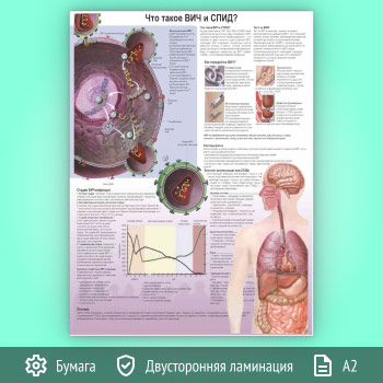 Плакат «Что такое ВИЧ и СПИД?» (ЗОЖ-40, 1 лист, А2)